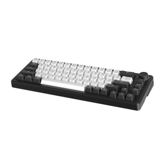 Bàn Phím Cơ DareU EK65s White - Black PBT, Led RGB, 2 Sides RGB Strip, Type-C
