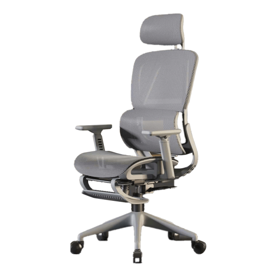 Ghế công thái học CTH-919 | Màu xám