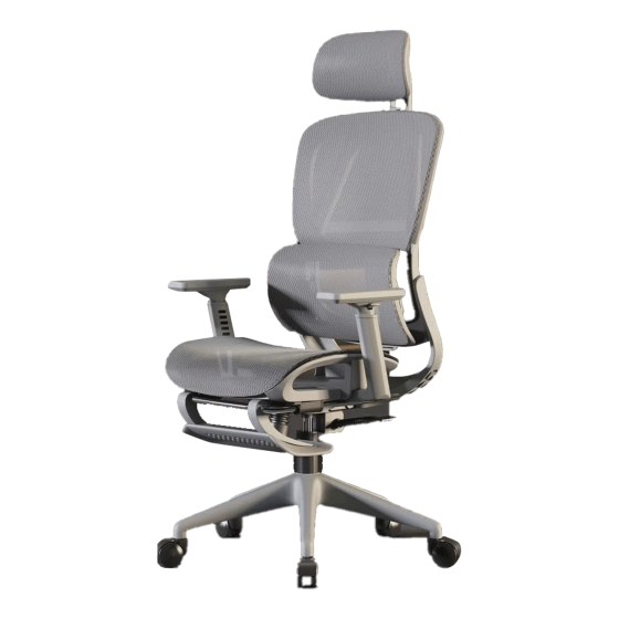 Ghế công thái học CTH-919 | Màu xám