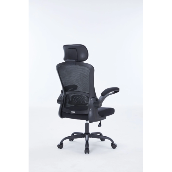 Ghế công thái học Ergonomic Warrior – Pawn series – WEC106 | Đen